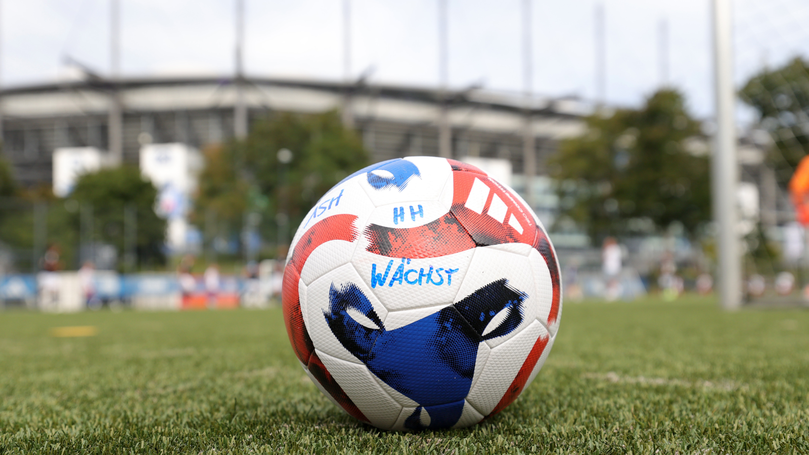 HSV, “Hamburg Wächst” Projesi ile Yerel Yetenek Kazanacak!, © hsv.de/nachwuchs