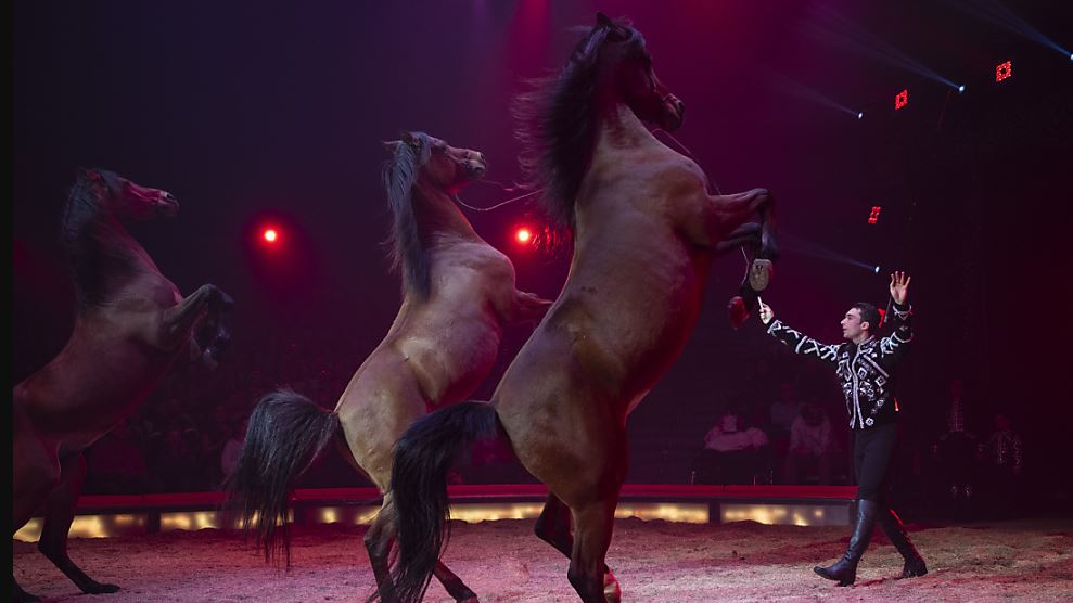 Circus Knie feiert mehrere Premieren, © Keystone-SDA