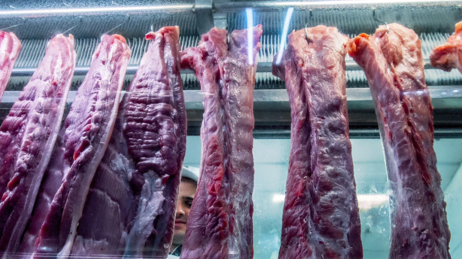 Mainz'da Et Kongresi Protesto Ediliyor, © Cris Faga/ZUMA Wire/dpa Mainz'da Et Kongresi Protesto Ediliyor, © Cris Faga/ZUMA Wire/dpa