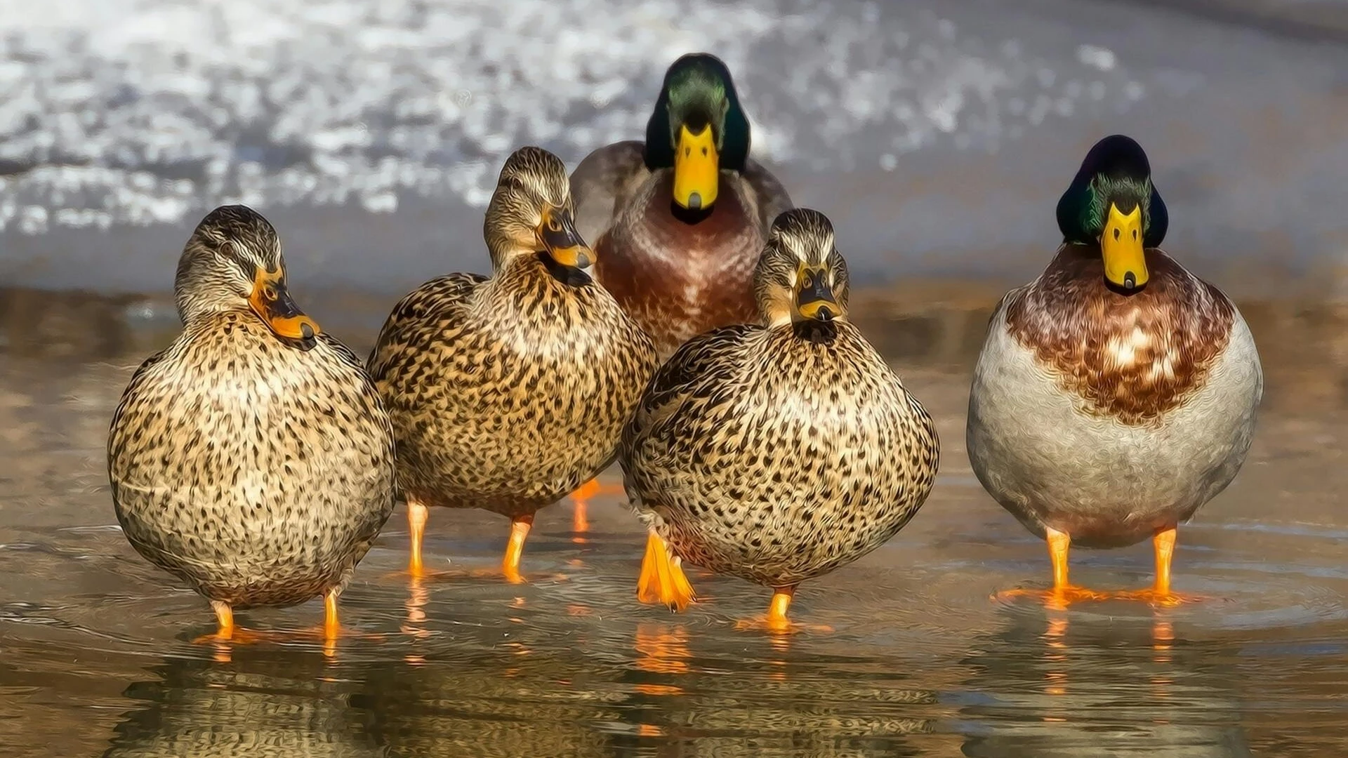 © Pixabay © Pixabay