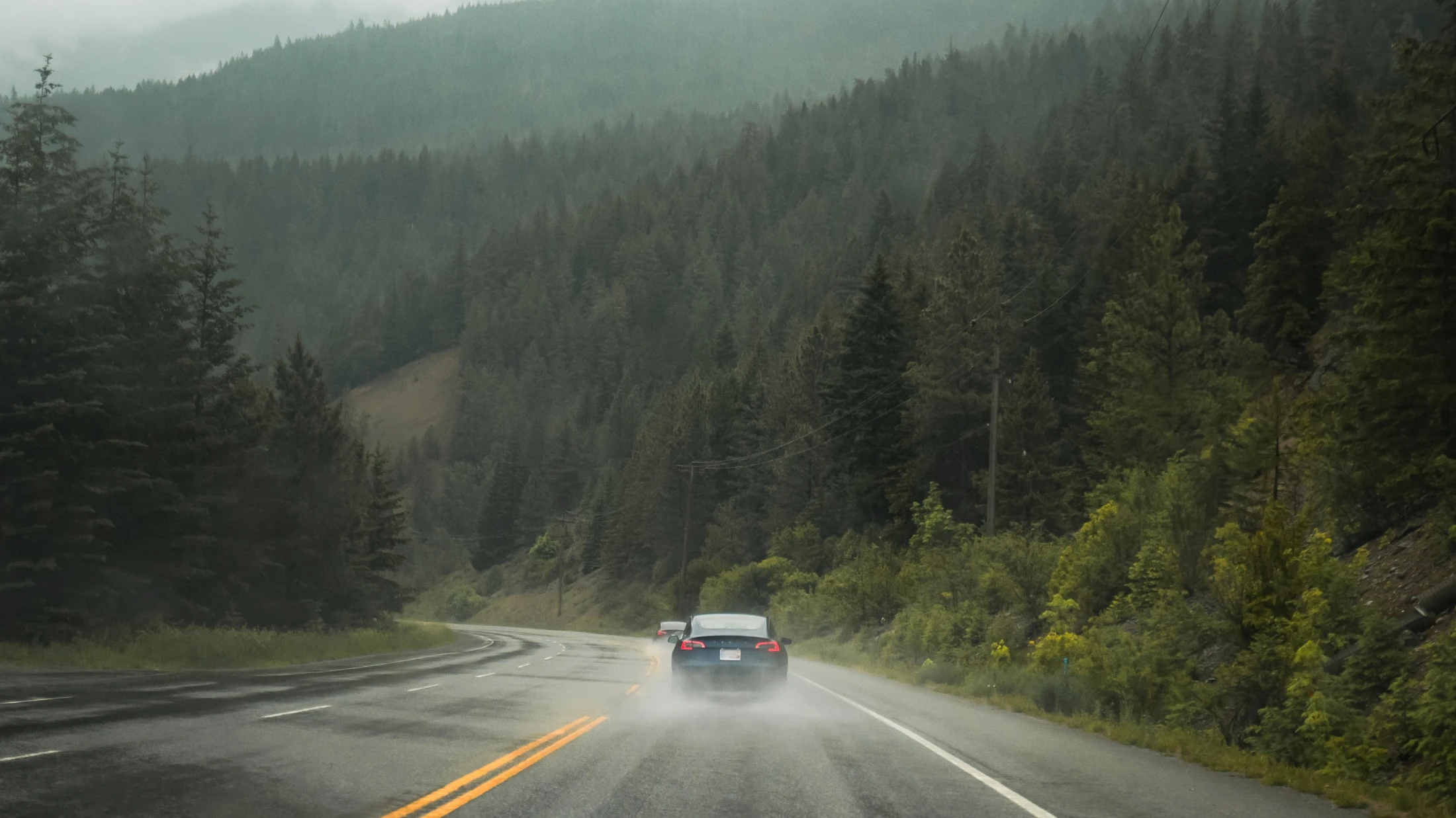 © Unsplash | Aditya Chinchure © Unsplash | Aditya Chinchure