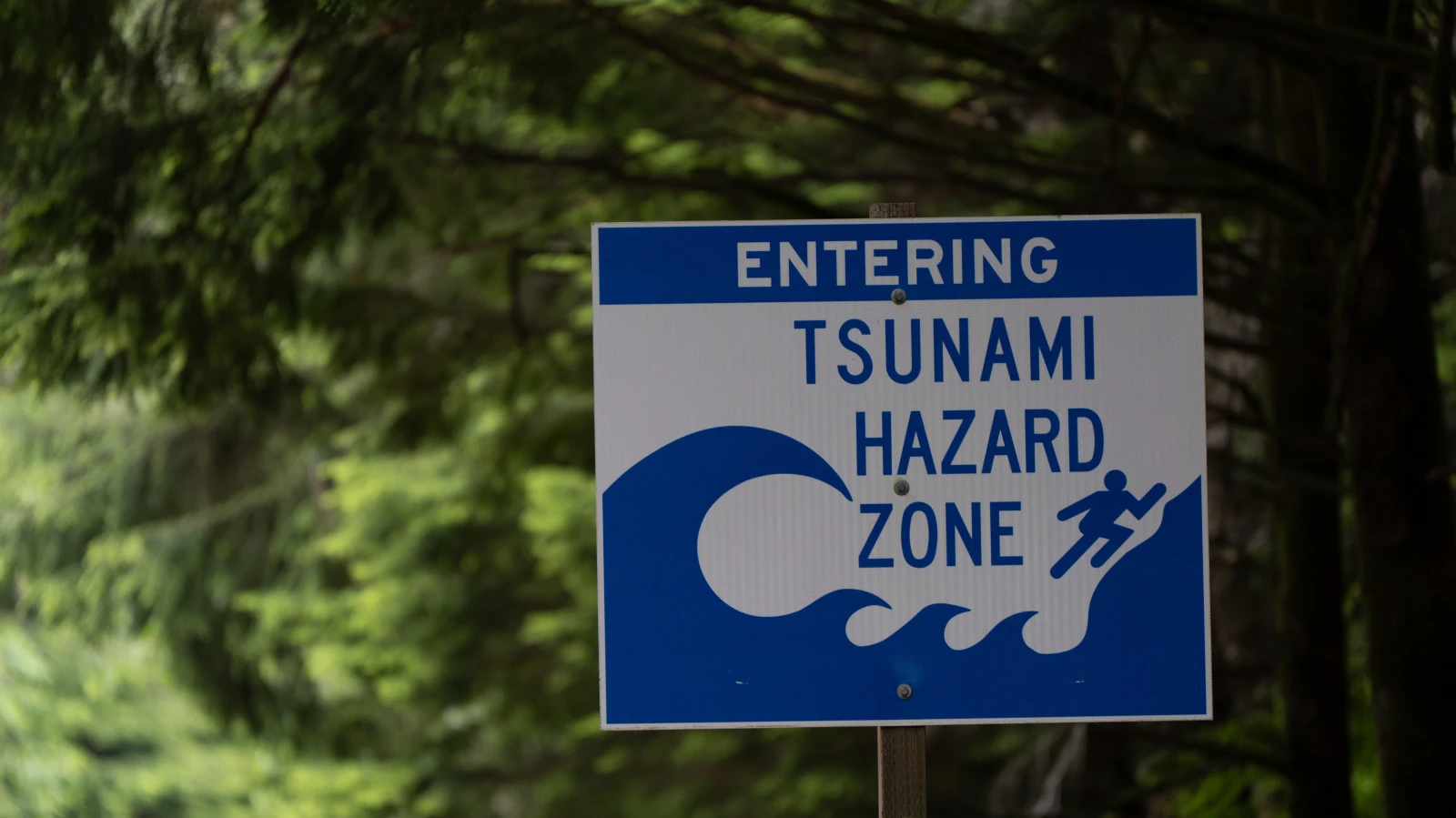 Messmethoden können Tsunamis hervorsagen, © Keystone / AP / Jenny Kane Messmethoden können Tsunamis hervorsagen, © Keystone / AP / Jenny Kane