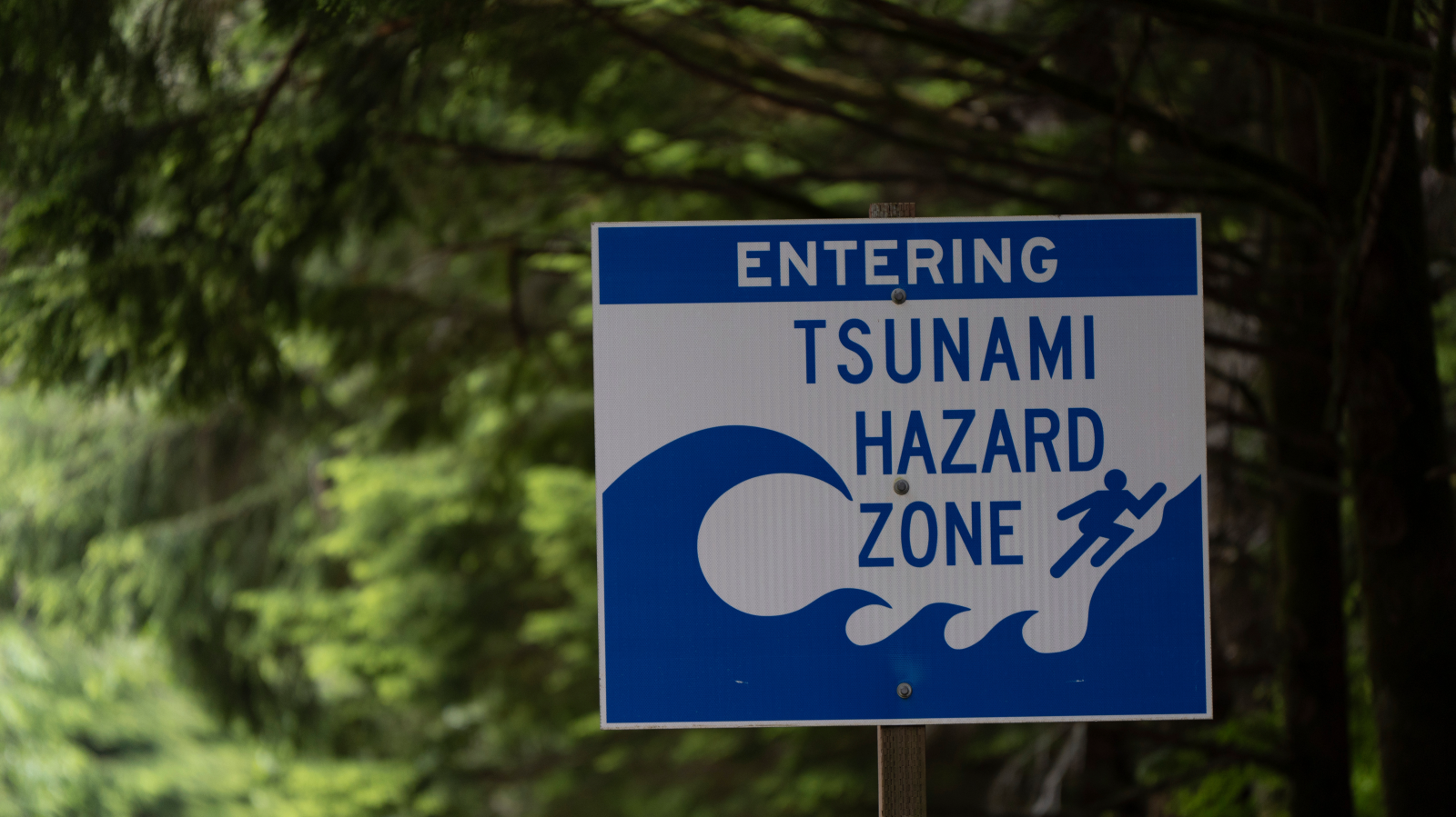 Messmethoden können Tsunamis hervorsagen, © Keystone / AP / Jenny Kane