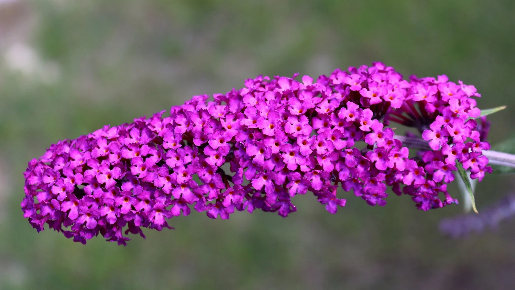 © Pixabay/Birgit © Pixabay/Birgit