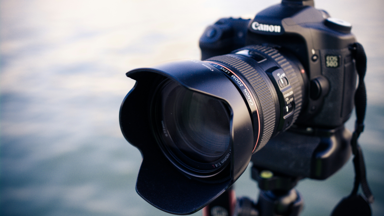 Bündner Fotopionier Hans Danuser gestorben, © Unsplash/Alexander Wang