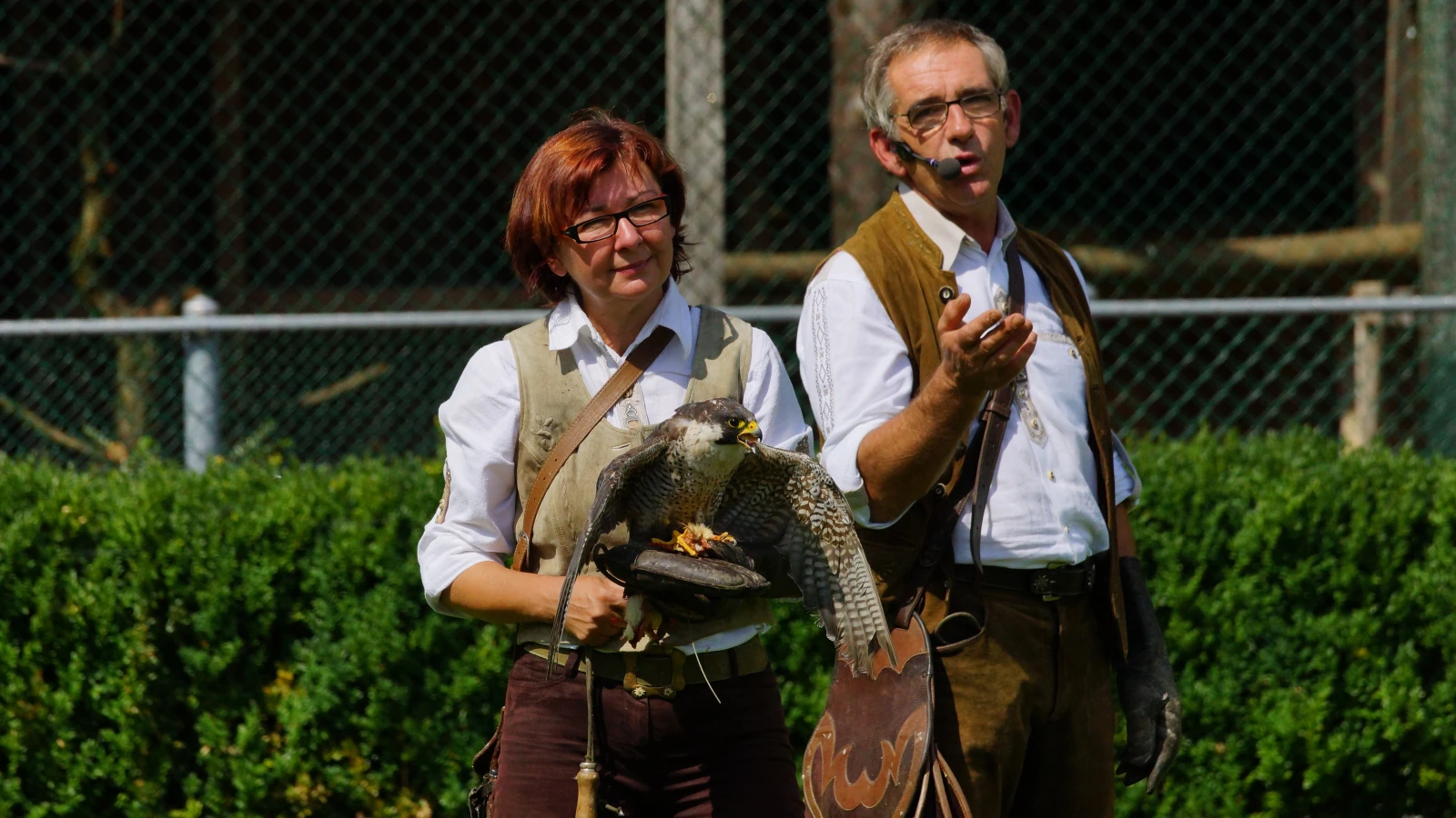 Der Greifvogelpark in Buchs muss investieren, © ZVG Der Greifvogelpark in Buchs muss investieren, © ZVG
