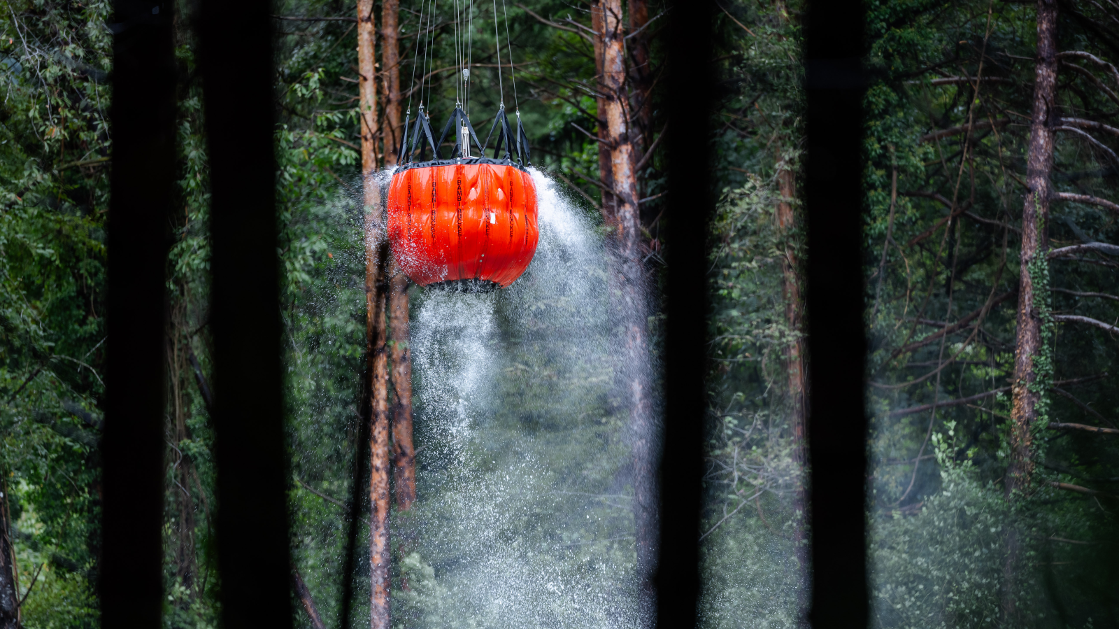 Liechtenstein ist gut auf Waldbrände vorbereitet, © Gemeinde Schaan / Archivbild