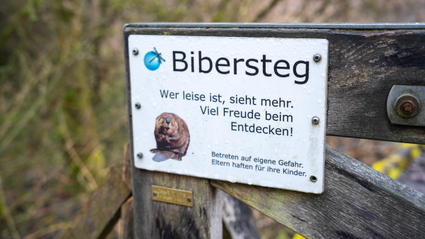 Wo Biber neben Muscheln tauchen, © radio munot