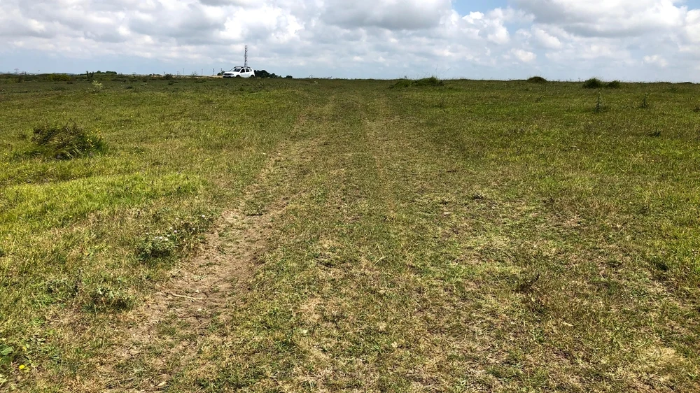 Türkiye'de Miras Arazilere Yeni Düzenleme Başladı, © shutterstock Türkiye'de Miras Arazilere Yeni Düzenleme Başladı, © shutterstock