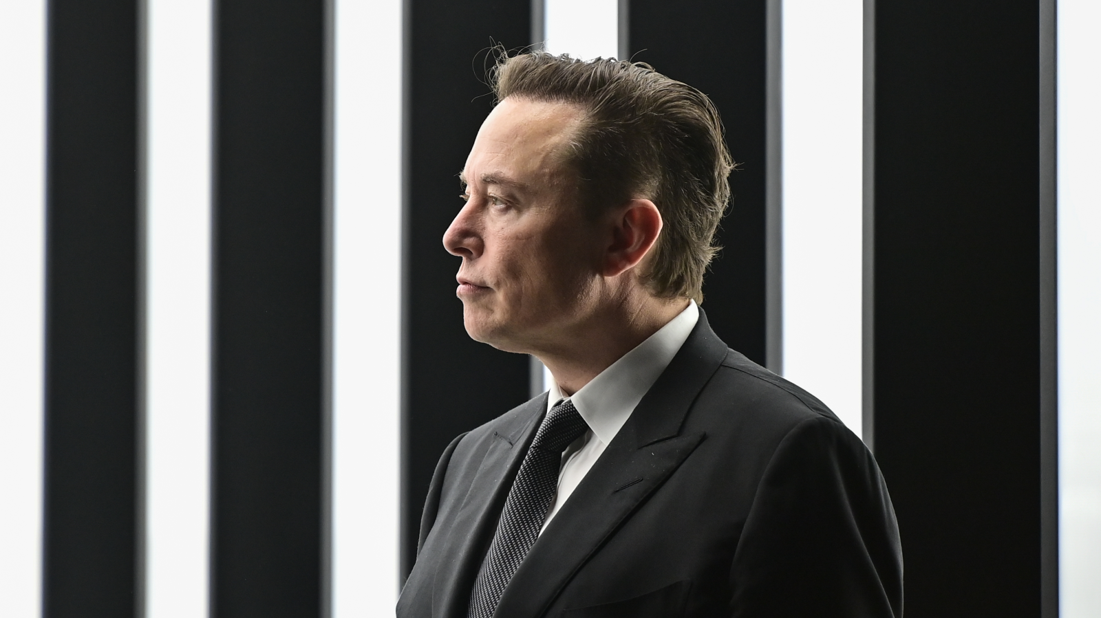 Elon Musk’ın “5 Bin Çocukluk” Çılgın Gen Projesi, © DPA