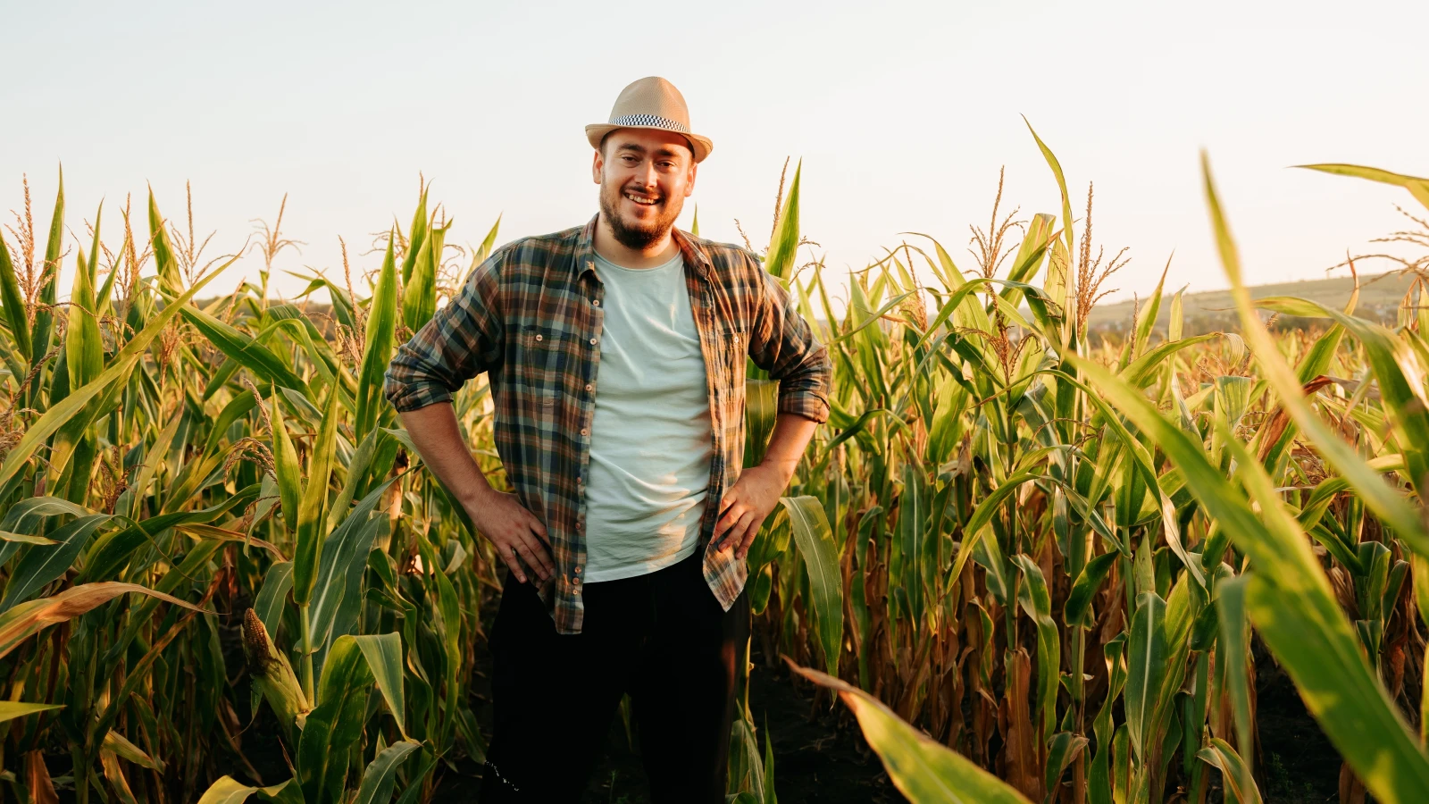 Baden-Württemberg’de Çiftçilerden Hasat Değerlendirmesi, © shutterstock Baden-Württemberg’de Çiftçilerden Hasat Değerlendirmesi, © shutterstock