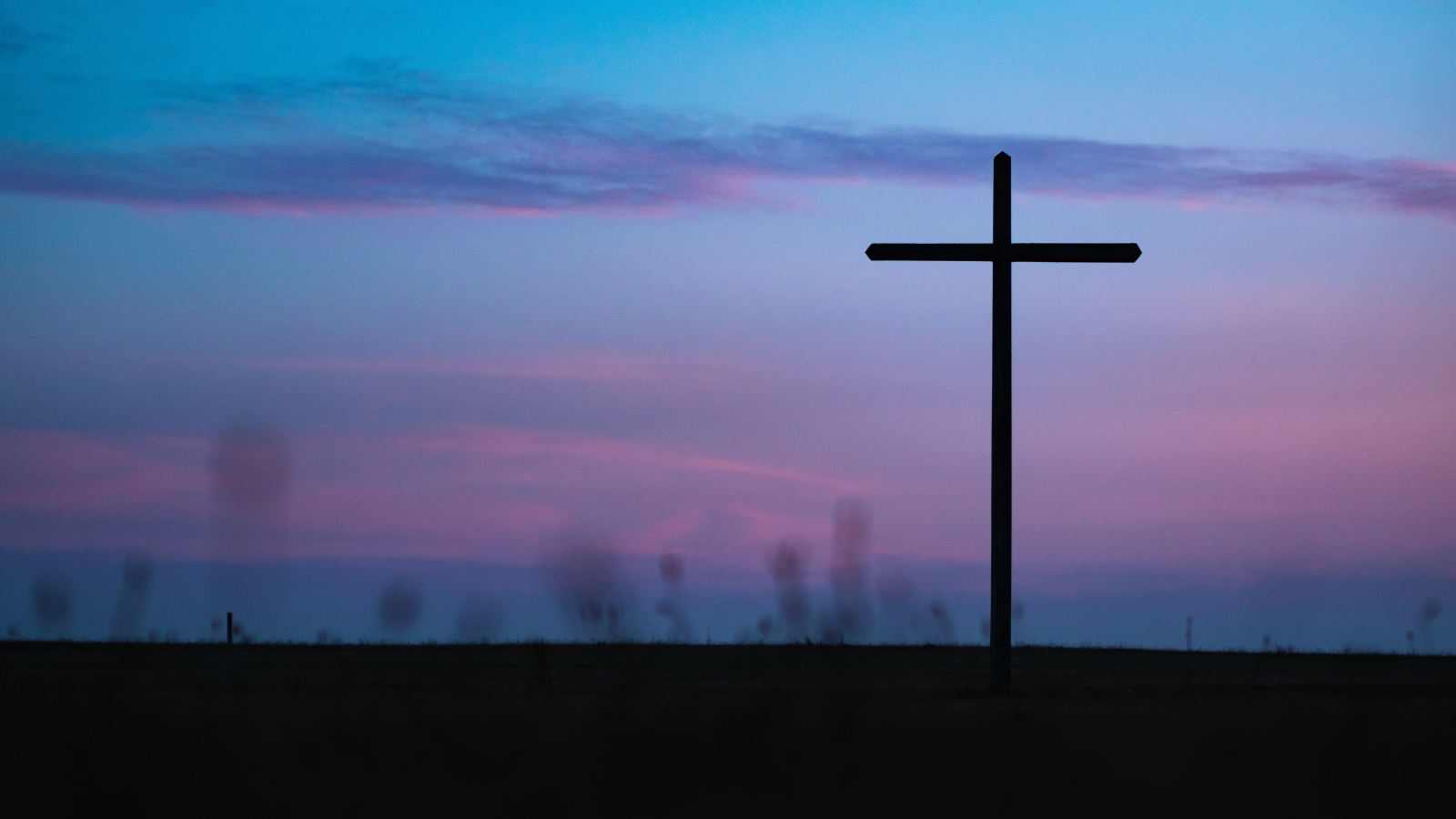 Professionellere Prüfung der Seelsorger, © Unsplash/Aaron Burden 