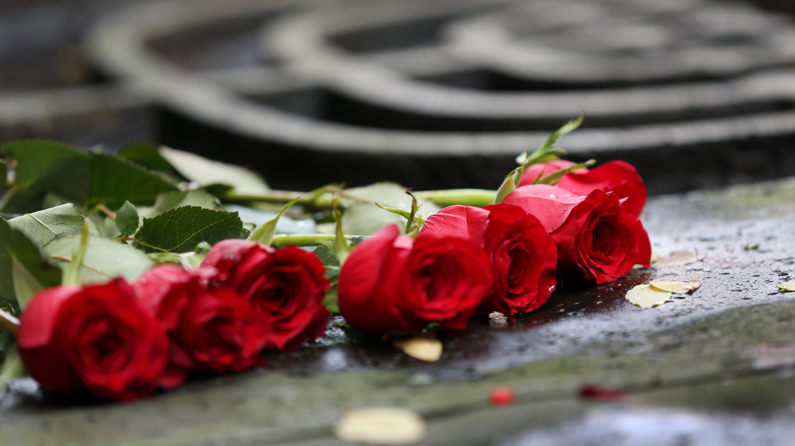Frankfurt, 1938 Pogrom Gecesi’nin 87. Yıldönümünü Paulskirche’de Anacak, © Martin Gerten/dpa