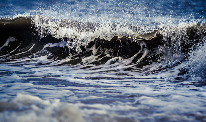 Rekordtemperaturen im Nordatlantik, © Unsplash | lee attwood | CC0