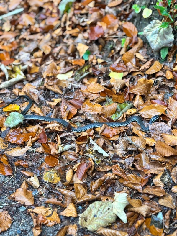 © MORE Marketing © MORE Marketing