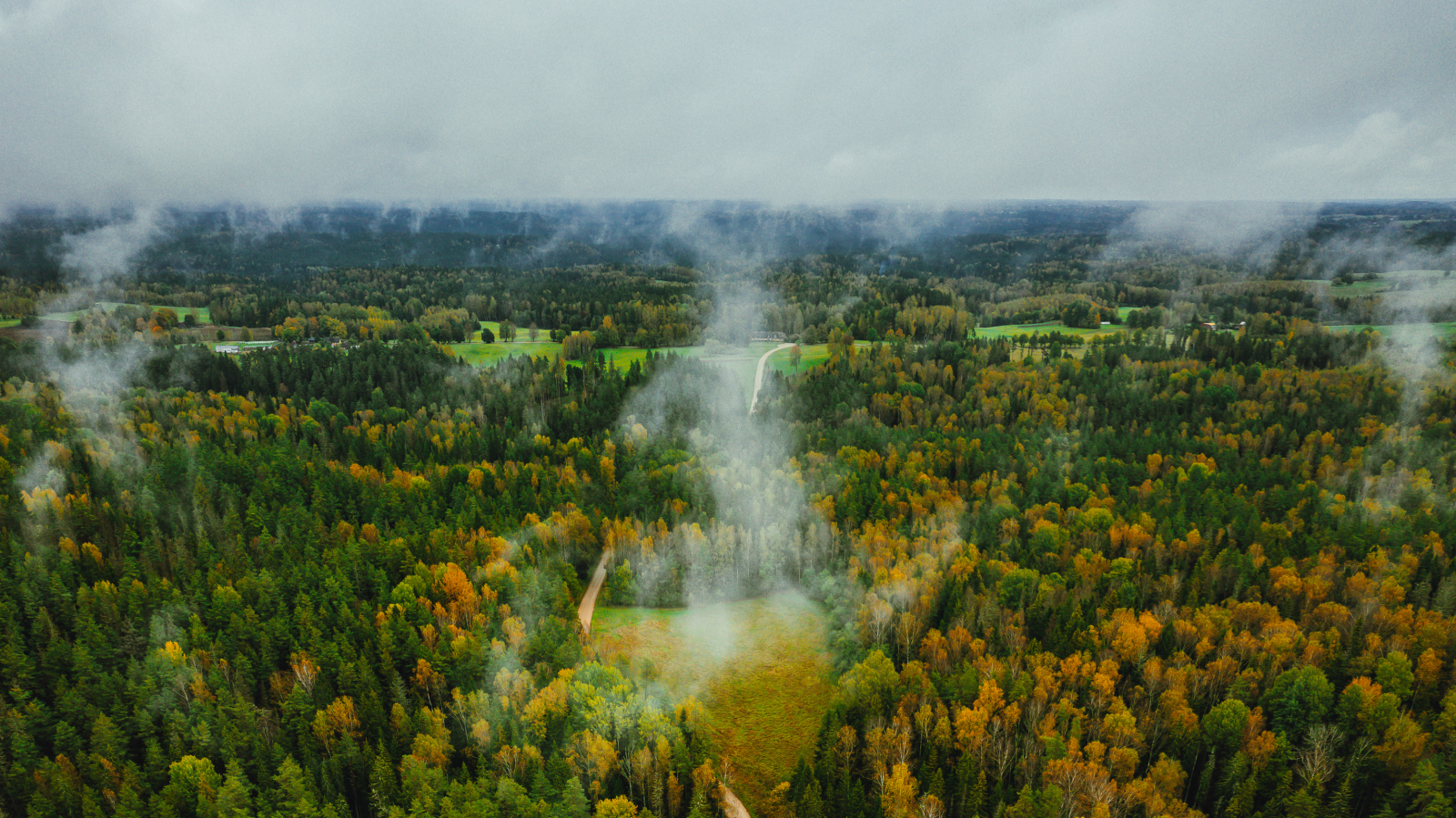 Klimaseniorinnen ermahnen&nbsp; die Schweiz, ©  wirestock/Freepik
