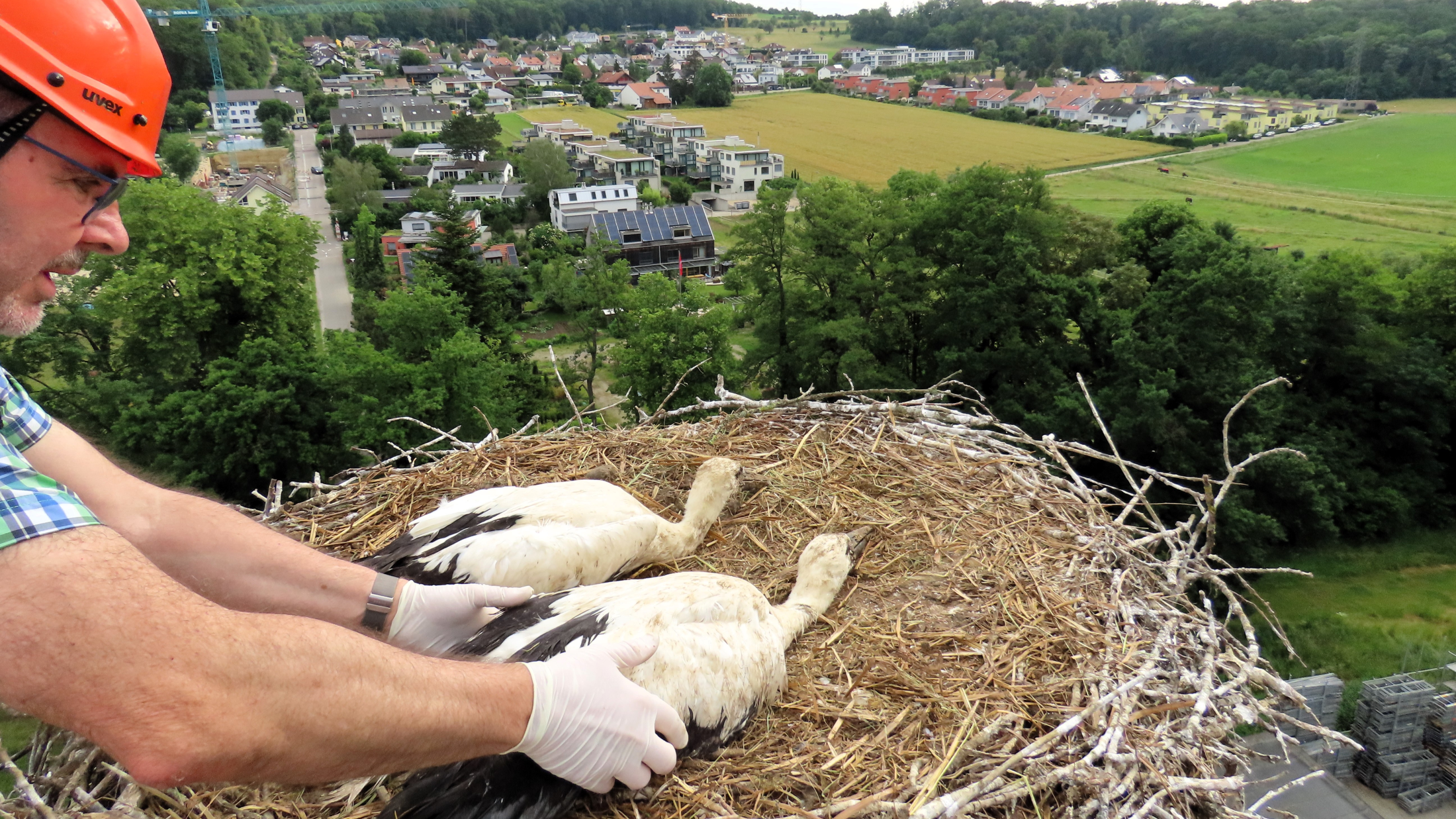 © Beat Huggenberger