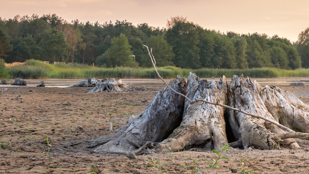 Wasserknappheit in Urlaubsländern, © Pixabay