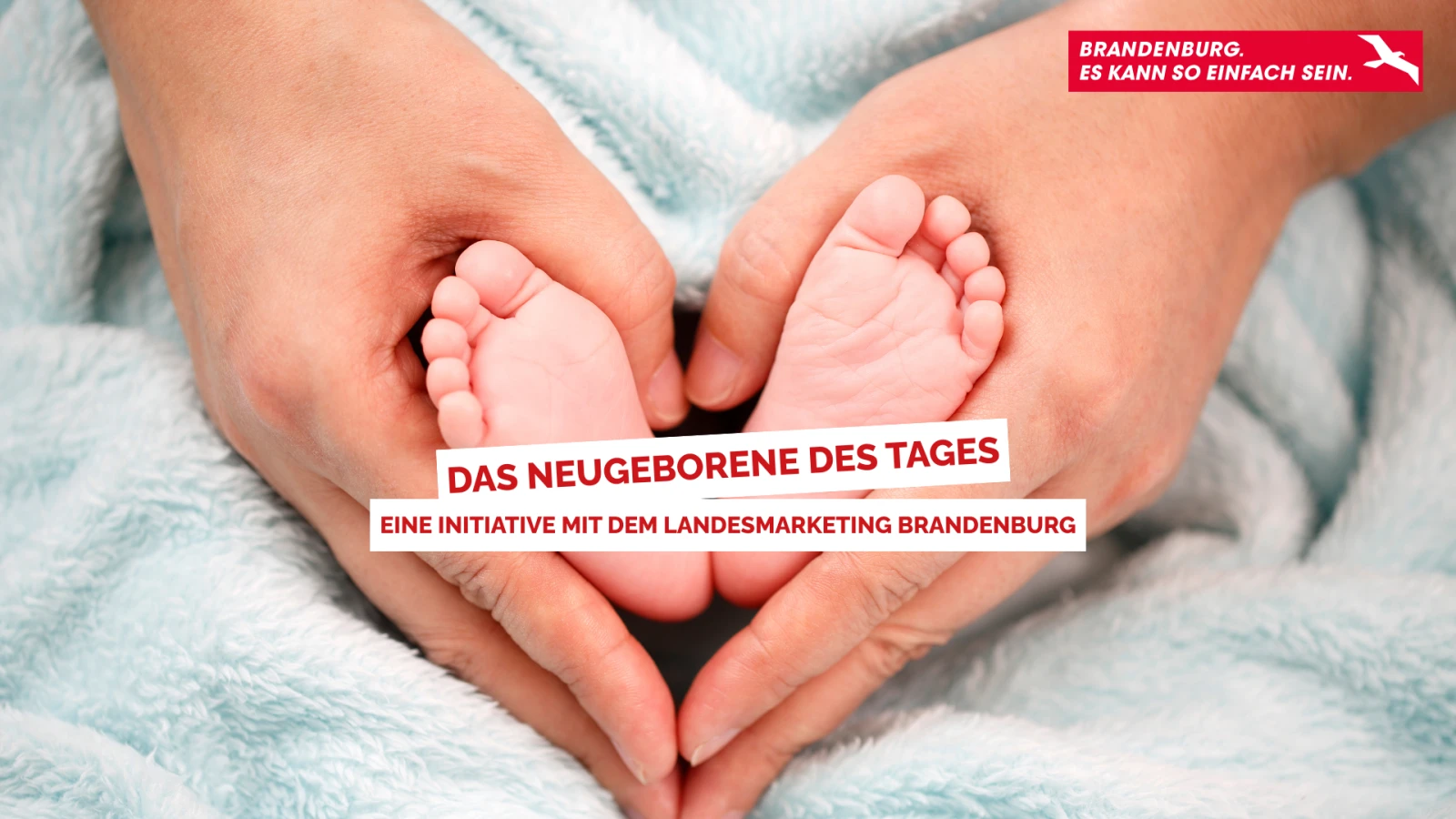 Das Neugeborene des Tages Das Neugeborene des Tages