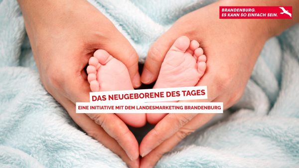 Das Neugeborene des Tages