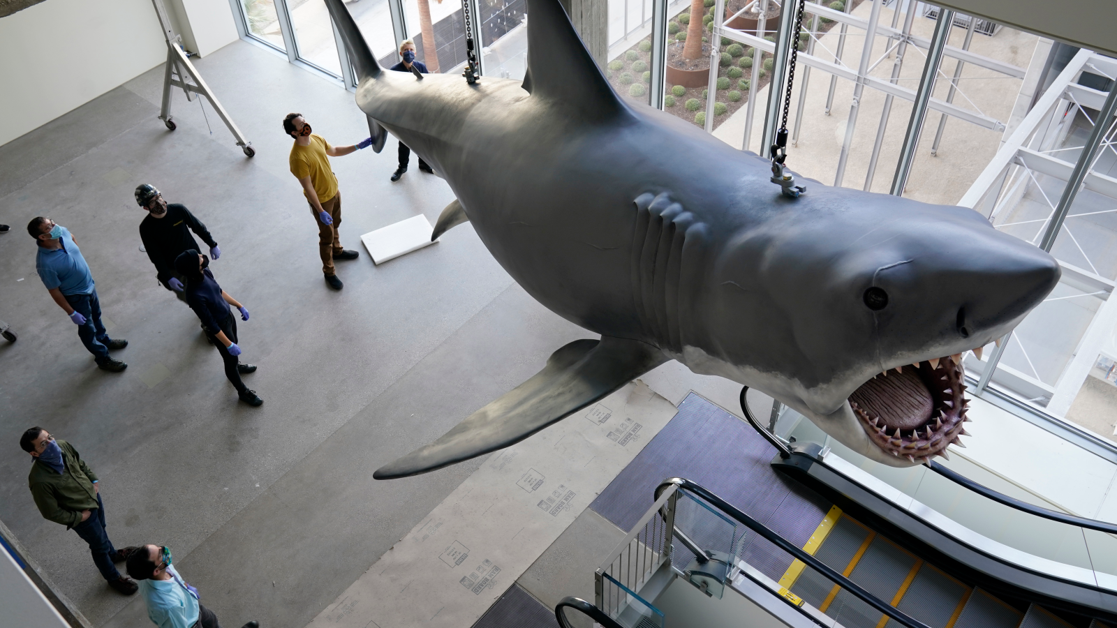 Mersin’de Köpek Balığı Korkusu: Tatilciler Panikledi, Turizmciler Zarar Gördü!, © Chris Pizzello/Invision/AP/dpa