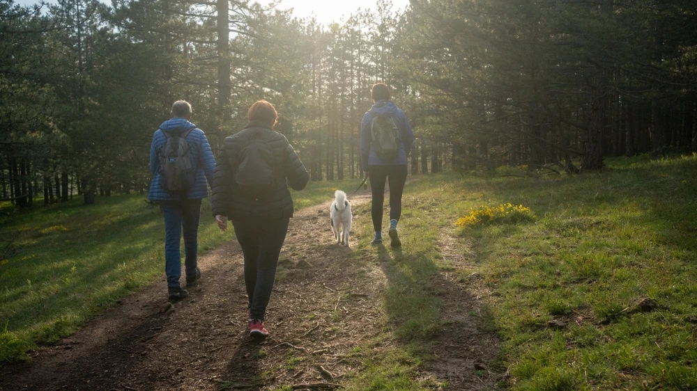 Yürüyüşün Sağlığınıza Olan İnanılmaz Faydaları, © shutterstock Yürüyüşün Sağlığınıza Olan İnanılmaz Faydaları, © shutterstock
