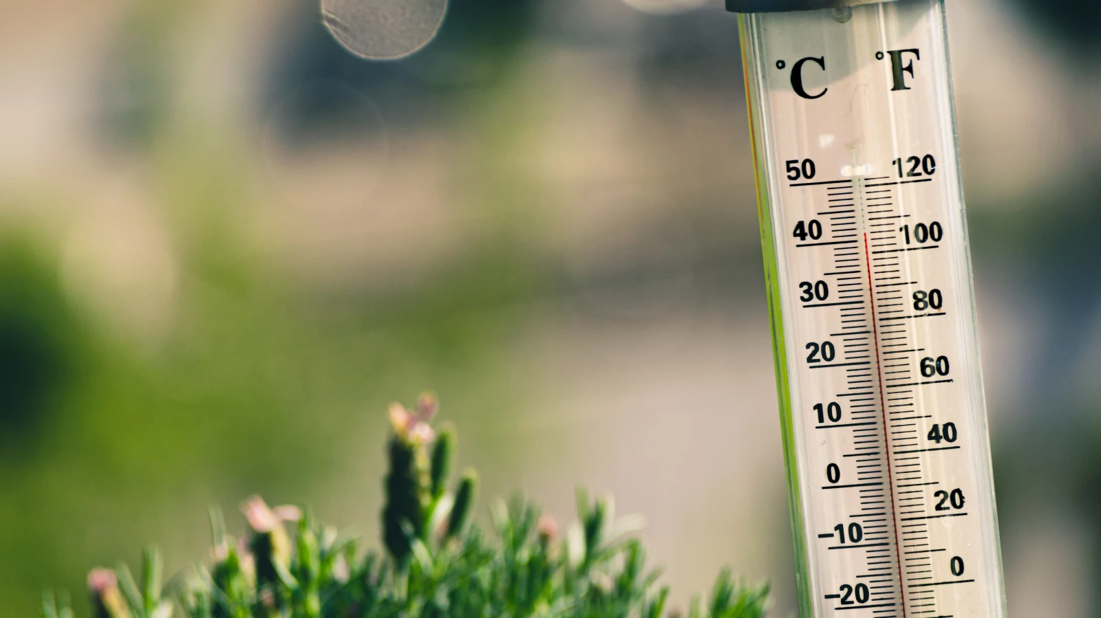 Es wird noch einmal heiss in Liechtenstein, © Unsplash/Jarosław Kwoczała Es wird noch einmal heiss in Liechtenstein, © Unsplash/Jarosław Kwoczała