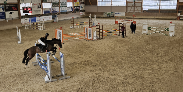 Hoch zu Ross von Hindernis zu Hindernis