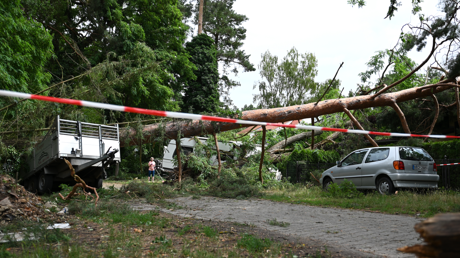 Berlin’de Fırtına Sonrası Tegeler Ormanı Kapatıldı, ©  Michael Brandt/dpa