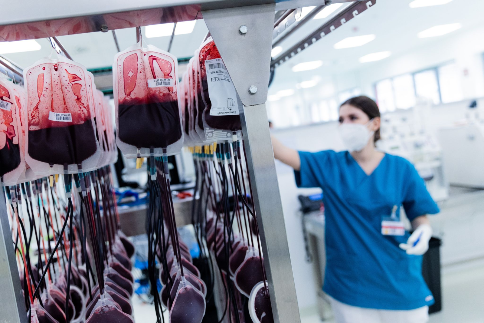 Blutkonserven werden im Zentrallabor des DRK-Blutspendedienstes für Krankenhäuser aufbereitet.