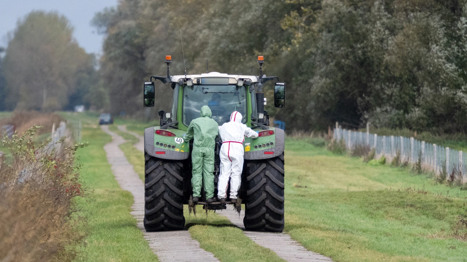 Berlin’de Kuş Gribi Alarmı: İki Vaka Doğrulandı, Yetkililer Uyardı, © Christophe Gateau/dpa Berlin’de Kuş Gribi Alarmı: İki Vaka Doğrulandı, Yetkililer Uyardı, © Christophe Gateau/dpa