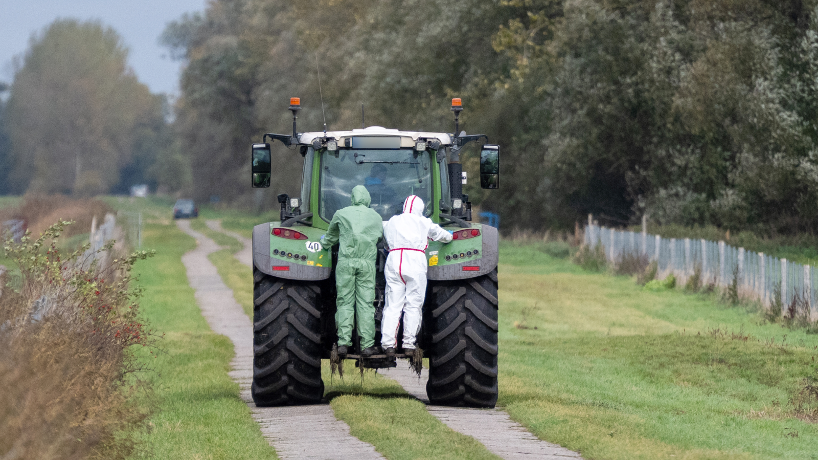 Berlin’de Kuş Gribi Alarmı: İki Vaka Doğrulandı, Yetkililer Uyardı, © Christophe Gateau/dpa