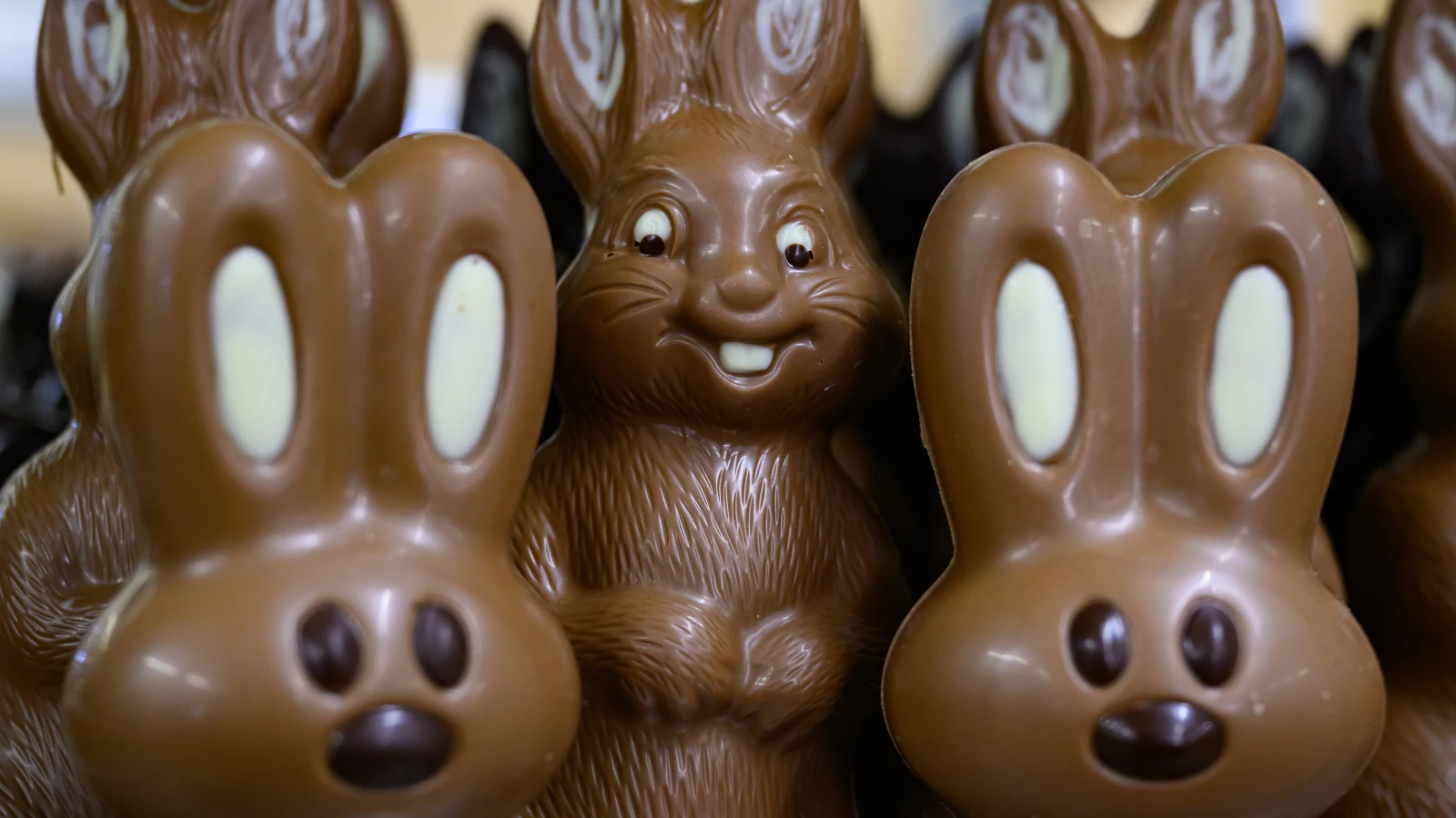 Çikolata Neden Bu Kadar Zamlandı? Fiyatlar Bir Yılda Neredeyse Üçte Bir Arttı, © Patrick Pleul/dpa Çikolata Neden Bu Kadar Zamlandı? Fiyatlar Bir Yılda Neredeyse Üçte Bir Arttı, © Patrick Pleul/dpa