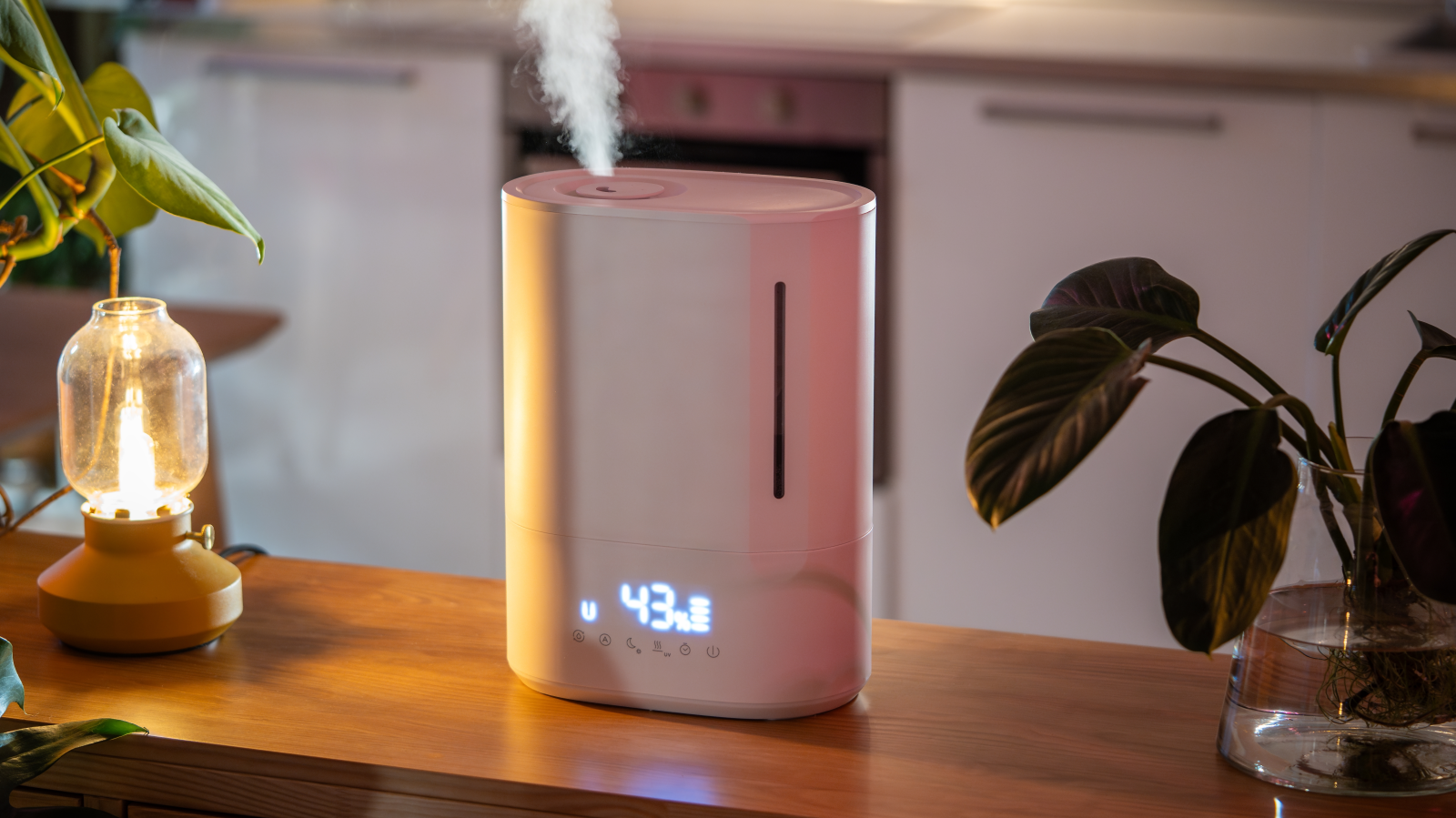 Hangi Hava Nemlendirici Daha Güvenli?, © Shutterstock