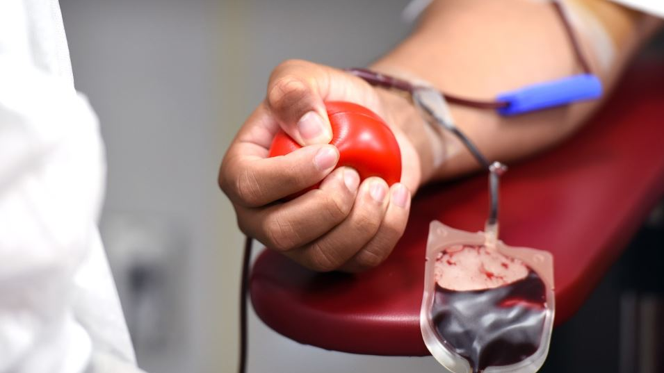 Erste Blutspendenaktion des Jahres, © Michelle_Gordon_Pixabay