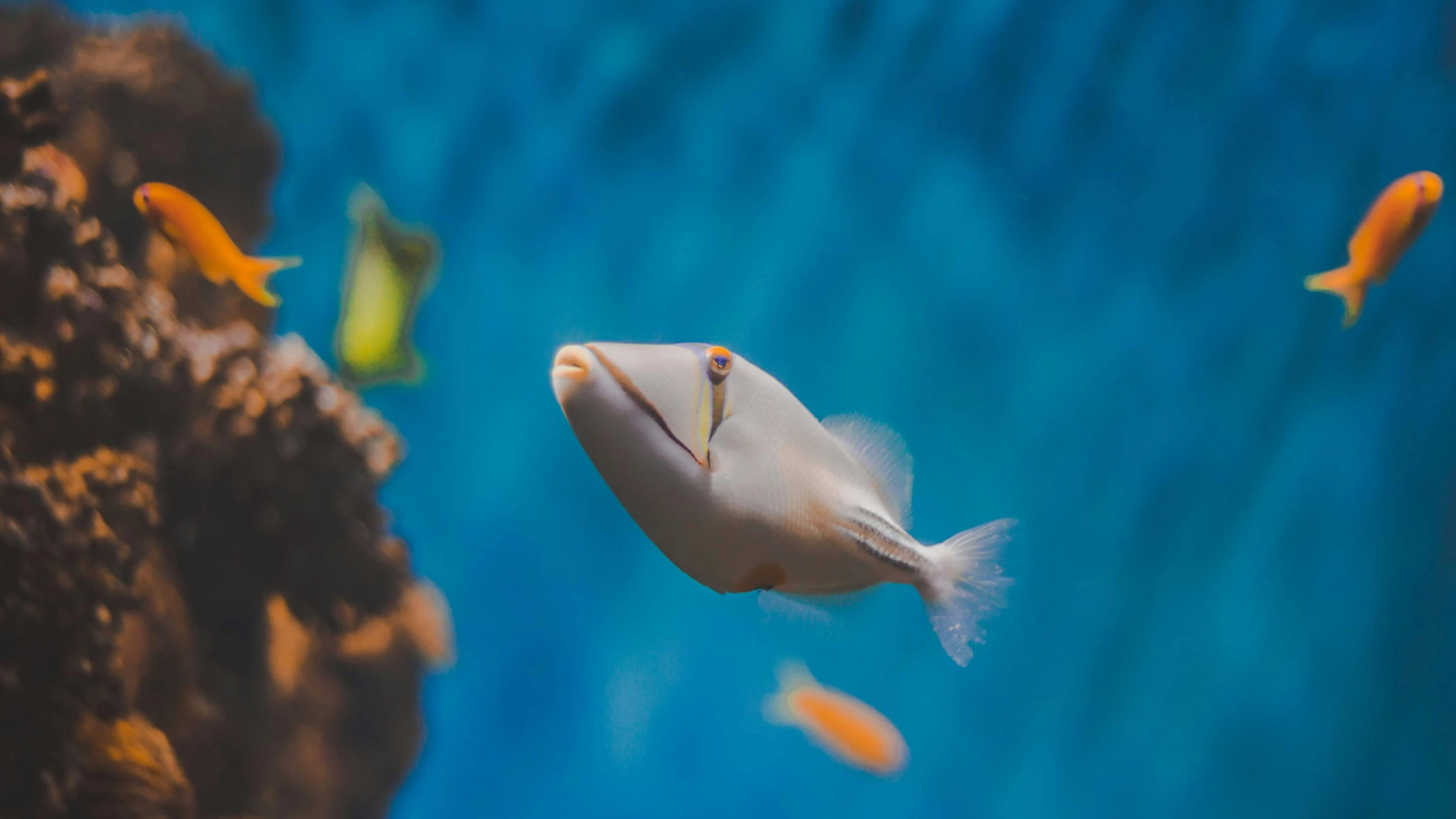 © Artem Mizyuk © Artem Mizyuk