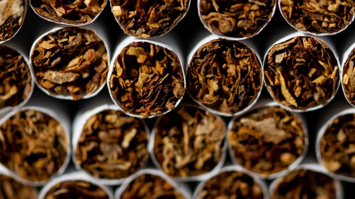 Philip Morris Almanya’dan Çekiliyor: Tütün Fabrikası Kapanıyor, © Sven Hoppe/dpa Philip Morris Almanya’dan Çekiliyor: Tütün Fabrikası Kapanıyor, © Sven Hoppe/dpa