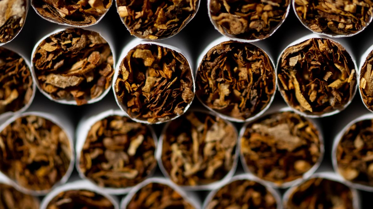 Philip Morris Almanya’dan Çekiliyor: Tütün Fabrikası Kapanıyor, © Sven Hoppe/dpa
