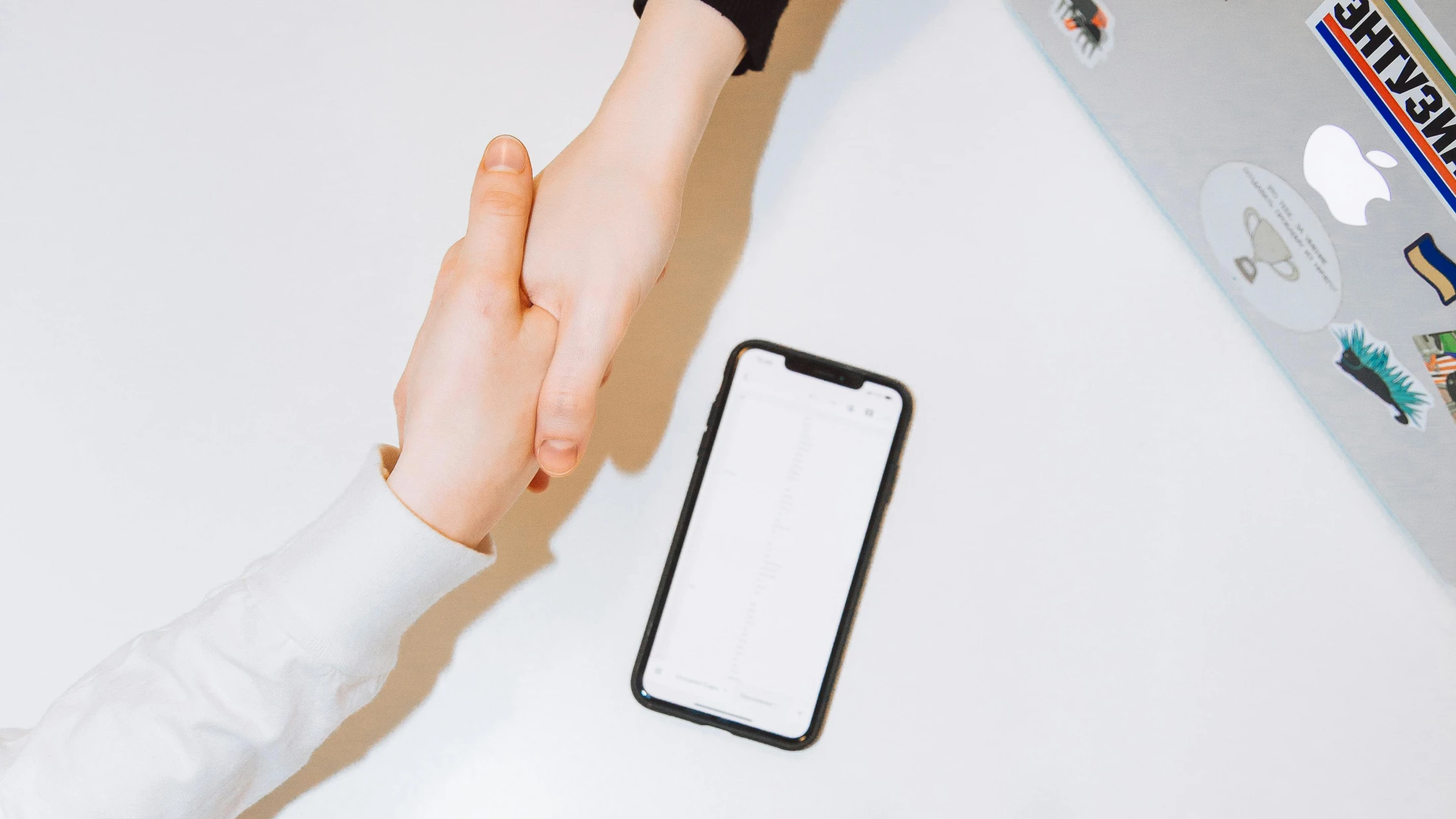 © Polina Zimmerman © Polina Zimmerman