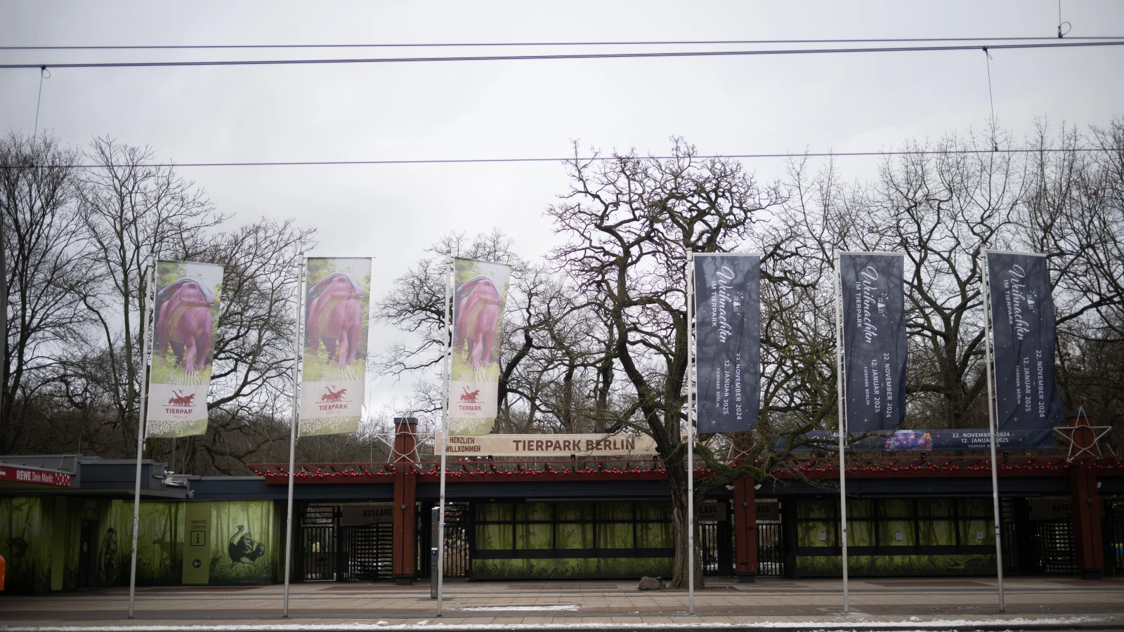 Berlin Hayvanat Bahçesi'nden Sonra Tierpark da Yeniden Açılıyor!, © dpa Berlin Hayvanat Bahçesi'nden Sonra Tierpark da Yeniden Açılıyor!, © dpa