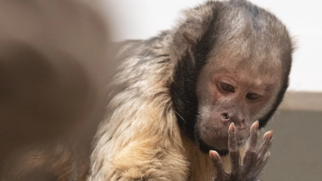 © Zoo Basel © Zoo Basel