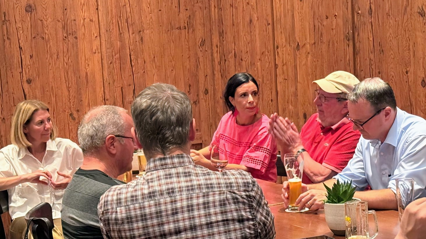 VU Vorstand sagt JA zum IWF Beitritt, © VU