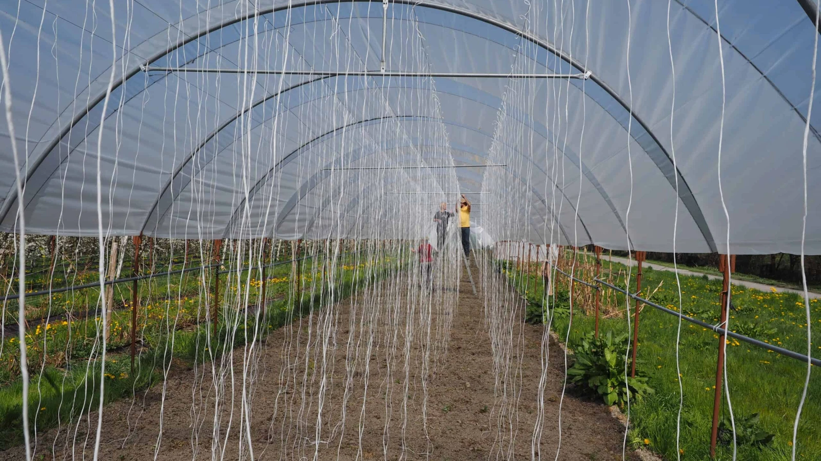 Lesung und Musik im Gewächshaus, © ZVG Lesung und Musik im Gewächshaus, © ZVG