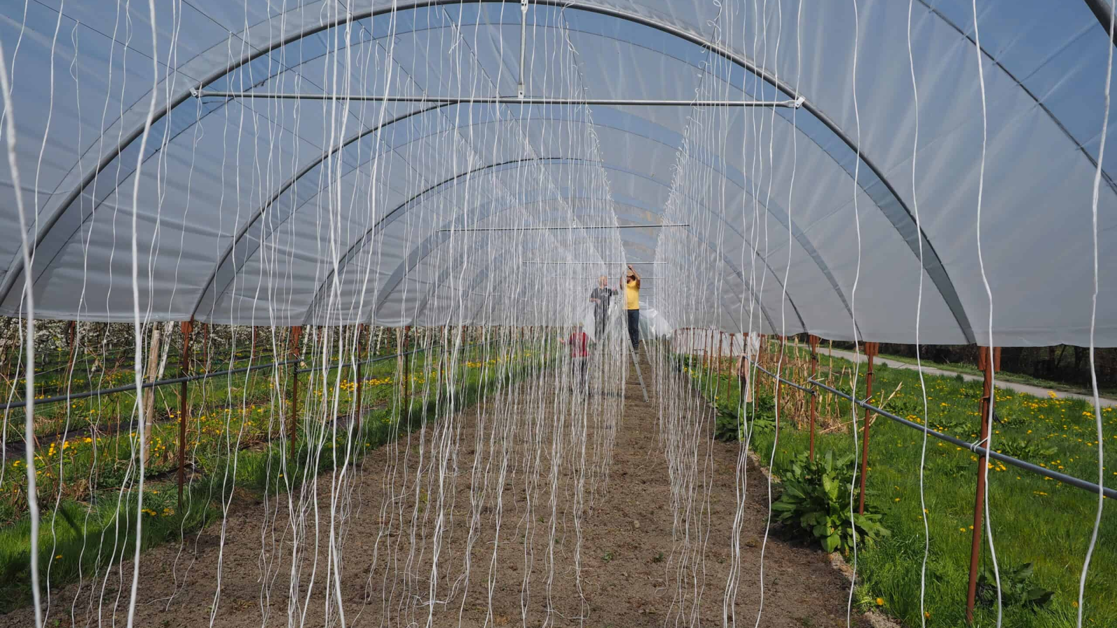Lesung und Musik im Gewächshaus, © ZVG