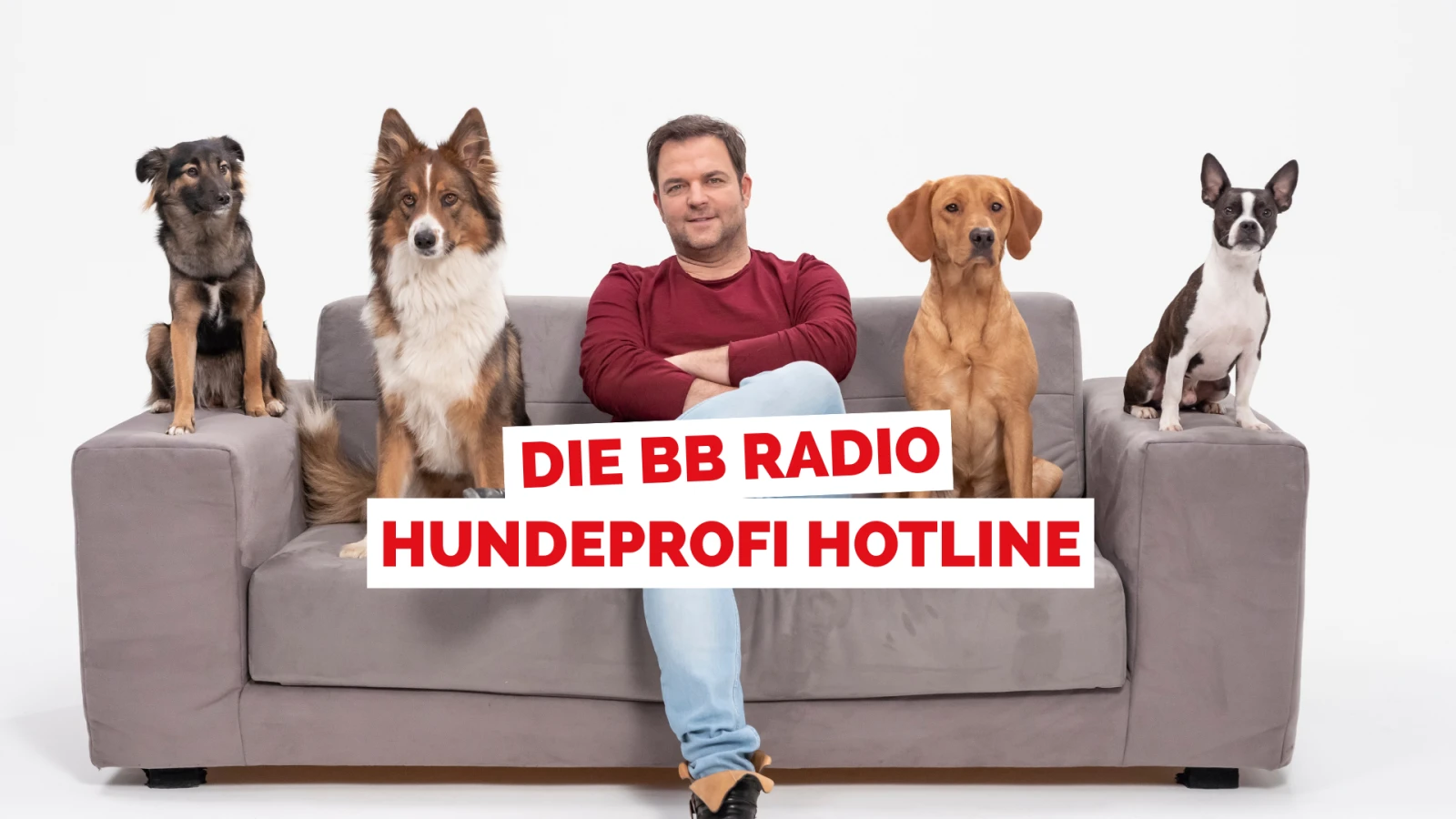 Die BB RADIO Hundeprofi Hotline Die BB RADIO Hundeprofi Hotline