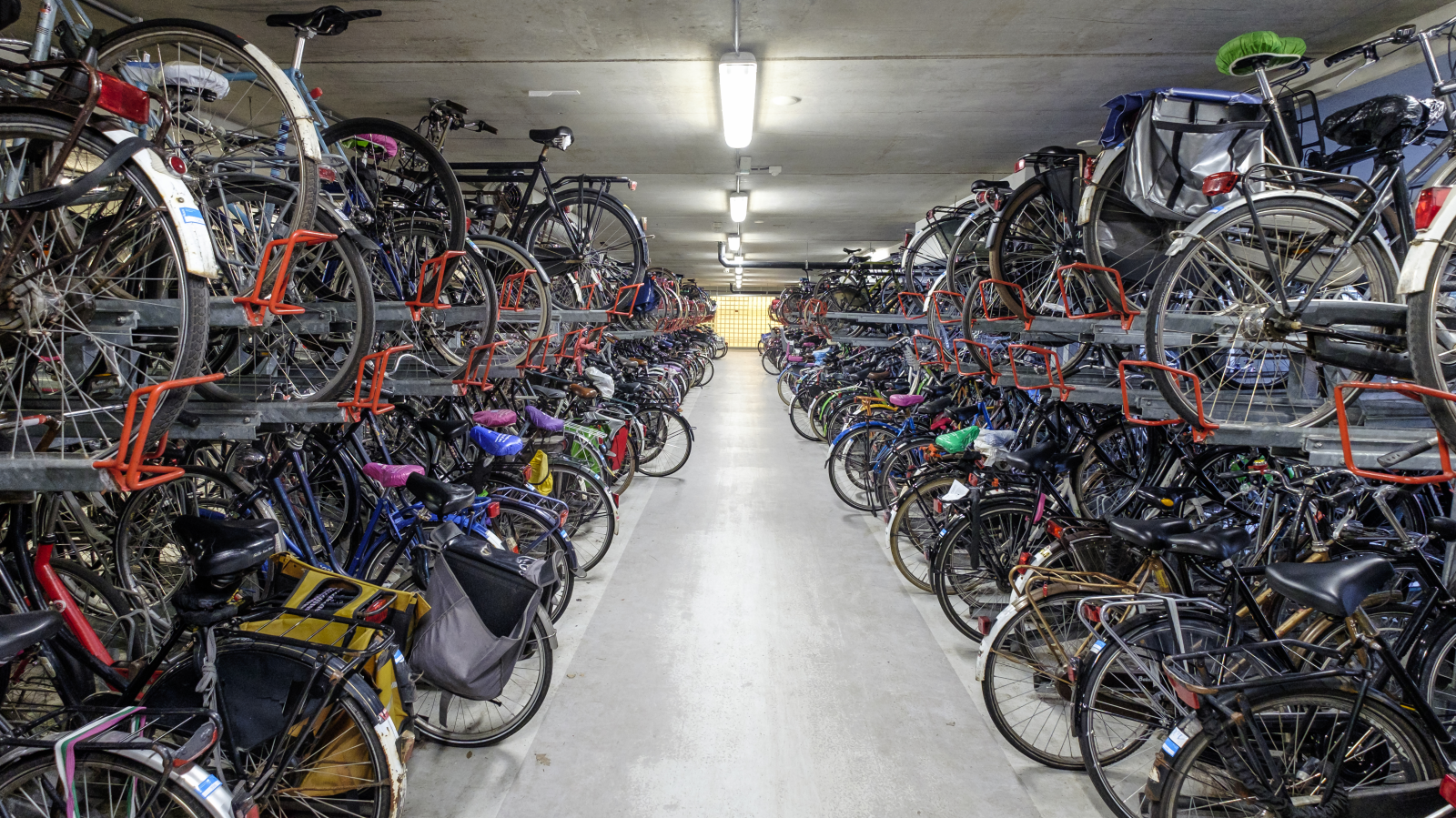 Stuttgart’ta bisiklet hırsızlığı: 100 bin euroluk zarar, © shutterstock