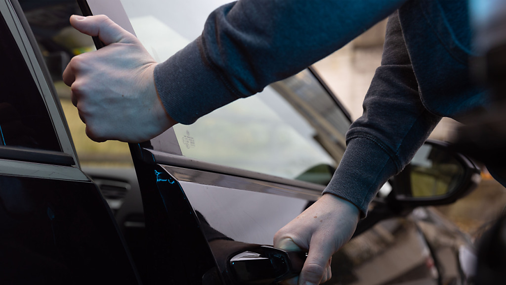 Polizei fasst in Rheineck SG mutmasslichen Autodieb, © Kapo St. Gallen