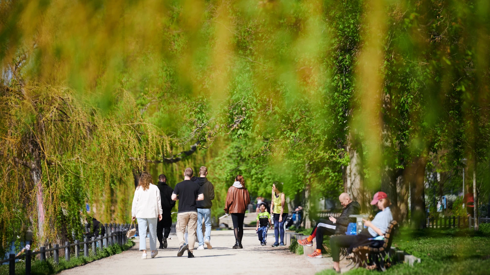 Havalar Isınıyor, Ancak Gece Don Tehlikesi Devam Ediyor!, © Annette Riedl/dpa Havalar Isınıyor, Ancak Gece Don Tehlikesi Devam Ediyor!, © Annette Riedl/dpa