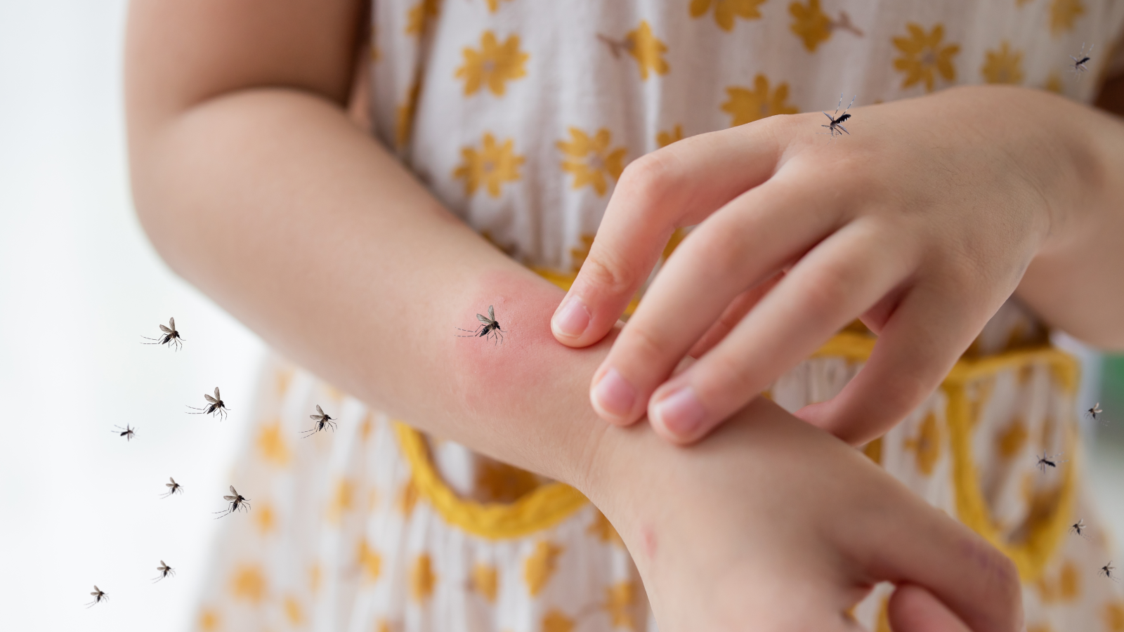 Mainz, © shutterstock