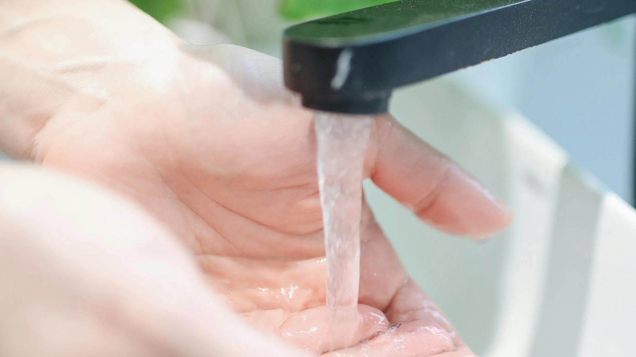 © Polina Tankilevitch © Polina Tankilevitch